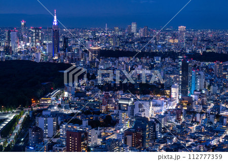 《東京都》東京スカイライン・都市夜景 《東京都》東京スカイライン・都市夜景 112777359