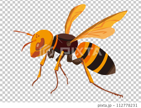 鈴木蜂 112778231
