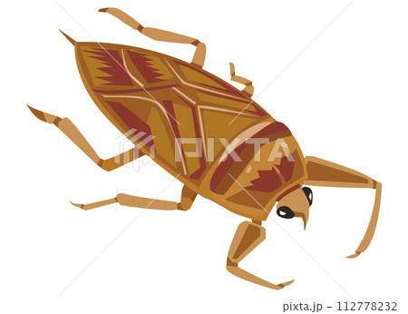 タガメ タガメ 112778232