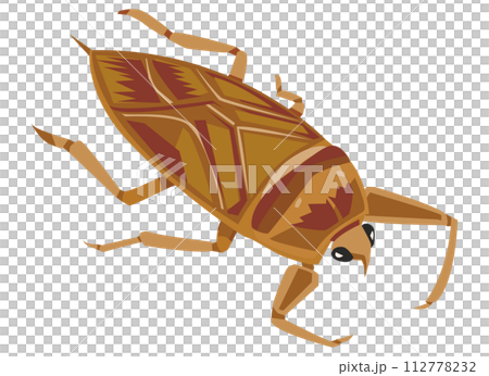 タガメ タガメ 112778232