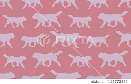 Running newfoundland dog isolated on a pink 112778853