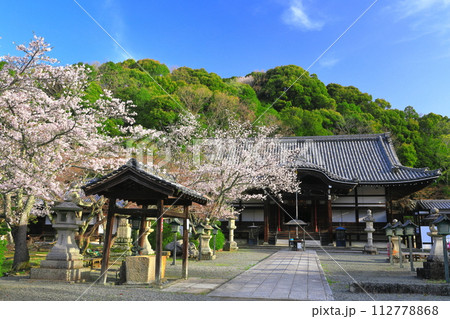 【和歌山県】桜が満開の根来寺（光明殿） 112778868