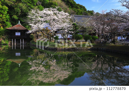 【和歌山県】桜が満開の根来寺（聖天池） 112778870