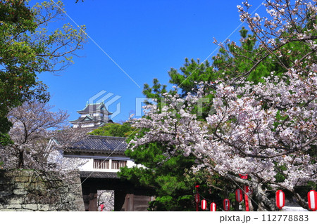 【和歌山県】快晴の和歌山城と満開の桜（天守閣と岡口門） 112778883