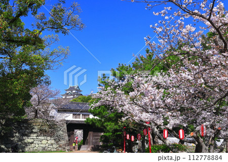 【和歌山県】快晴の和歌山城と満開の桜（天守閣と岡口門） 112778884