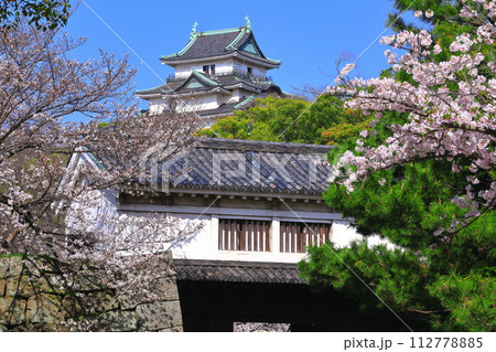 【和歌山県】快晴の和歌山城と満開の桜（天守閣と岡口門） 112778885
