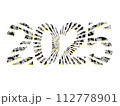 2025 グラフィック 112778901