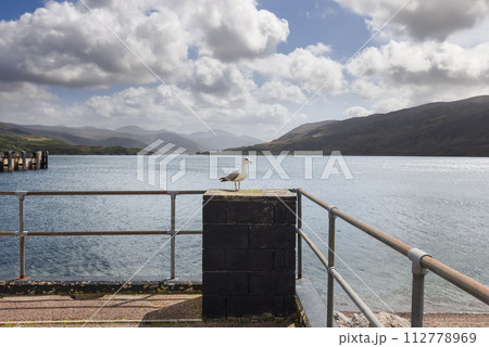 A lone seagull perches on Ullapool pier, overseeing a sparkling loch against Scottish Highlands A lone seagull perches on Ullapool pier, overseeing a sparkling loch against Scottish Highlands 112778969