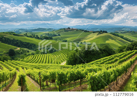 landscape with vineyards on hill background. Ai generative 112779016