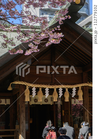 蔵前神社 桜と社殿 東京都台東区 蔵前神社 桜と社殿 東京都台東区 112779102