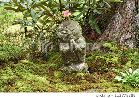 初夏のわらべ地蔵 三千院 初夏のわらべ地蔵 三千院 112779289