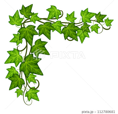 Ivy corner. Decorative green leaves frame template 112780681