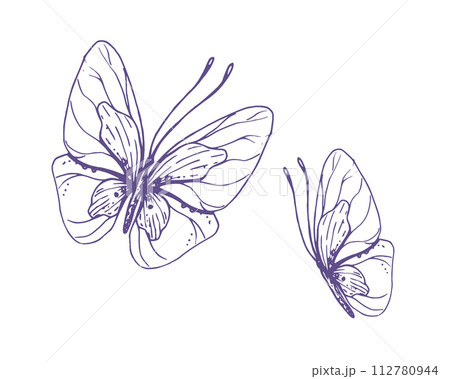 Delicate butterflies with patterns on the wings, simple, sweet, light, romantic. Illustration graphically hand-drawn in lilac ink in line style. Set of isolated EPS vector objects 112780944