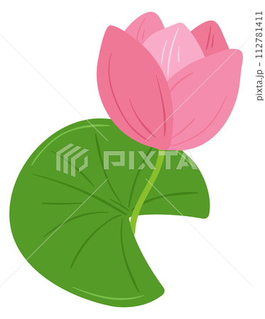 Water lily color icon. Nature symbol. Pink blossom 112781411