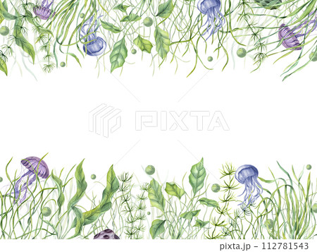 Undersea plants, jellyfish, bubbles. Horizontal frame. Green kelps. Lagoon underwater world. Marine fauna. Watercolor illustration isolated on white. Copy space for text. For label, package, greeting Undersea plants, jellyfish, bubbles. Horizontal frame. Green kelps. Lagoon underwater world. Marine fauna. Watercolor illustration isolated on white. Copy space for text. For label, package, greeting 112781543