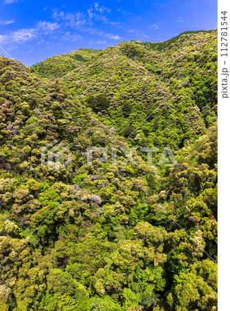 瀞峡　(晴れ　5月) 112781544