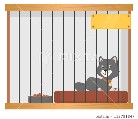 Homeless cat in shelter cage. Adoption pet center 112781847