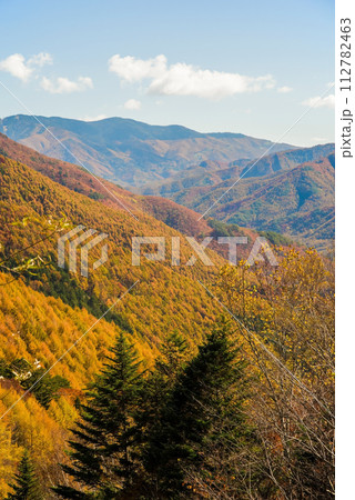 【秋素材】紅葉する山並み《野麦峠》 112782463