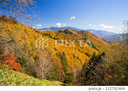 【秋素材】紅葉する山並み《野麦峠》 112782464