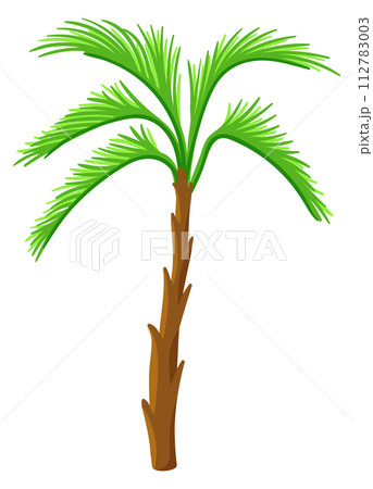 Cartoon palm. Jungle green tree. Beach plant 112783003