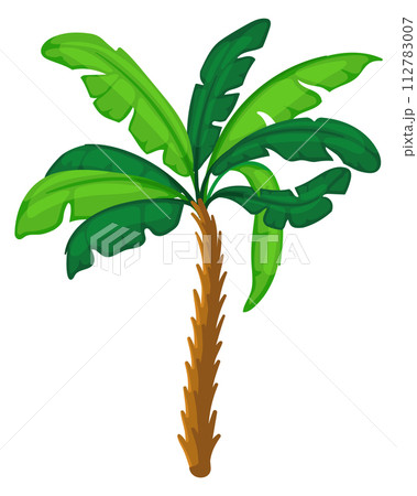 Green palm. Cartoon jungle tree. Tropical plant Green palm. Cartoon jungle tree. Tropical plant 112783007