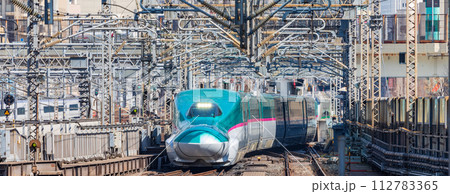 東京駅に入る東北新幹線 東京駅に入る東北新幹線 112783365