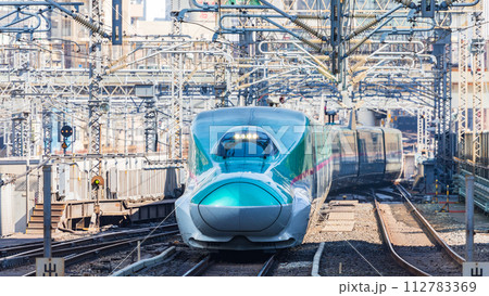 東京駅に入る東北新幹線 112783369