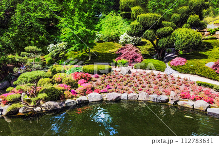 Drone view on Japanese garden in Kaiserslautern with rhododendron blossoms and pond and yew tree Drone view on Japanese garden in Kaiserslautern with rhododendron blossoms and pond and yew tree 112783631