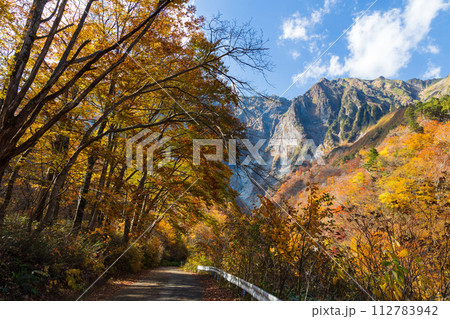 秋の谷川岳　紅葉見頃の一ノ倉沢 112783942
