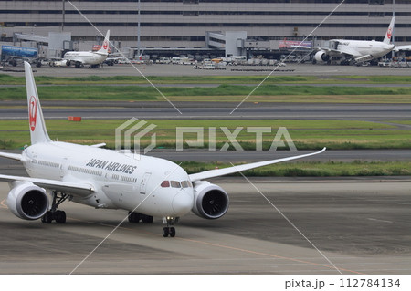 到着した旅客機　旅客機の機首　スポットに入る旅客機 112784134