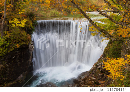 秋の谷川岳の麓　紅葉見頃の湯吹きの滝 112784154
