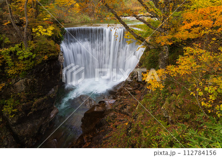 秋の谷川岳の麓　紅葉見頃の湯吹きの滝 112784156