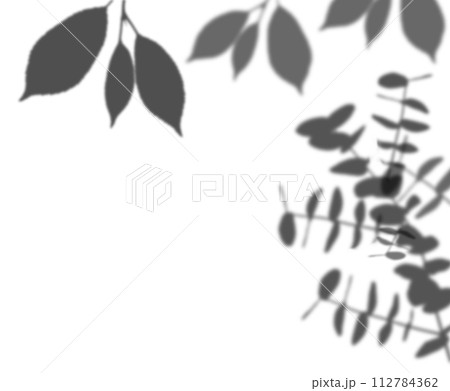Shadow from a branch with leaves on an isolated background Shadow from a branch with leaves on an isolated background 112784362