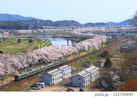 白石川堤一目千本桜を行く東北本線E721系（仙台地区） 112784697