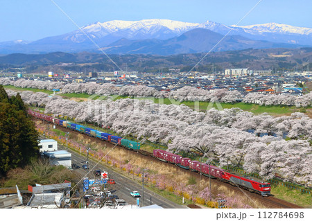 白石川堤一目千本桜を行く東北本線の貨物列車 白石川堤一目千本桜を行く東北本線の貨物列車 112784698