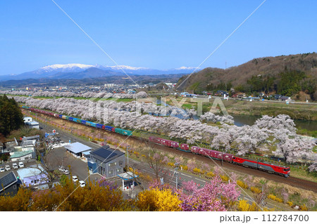 白石川堤一目千本桜を行く東北本線の貨物列車 112784700