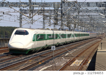 東北新幹線を行く緑帯E2系（山形新幹線E3系つばさ併結） 112784853