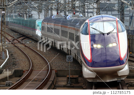 東北新幹線内を行く山形新幹線E3系つばさ号（E5系併結） 112785175