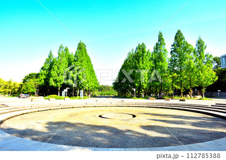 大阪市 花博記念公園鶴見緑地 新緑のメタセコイア 112785388
