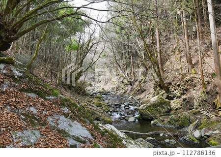 【檜原村　秩父多摩甲斐国立公園「奥多摩周遊道路」南秋川渓流】 112786136