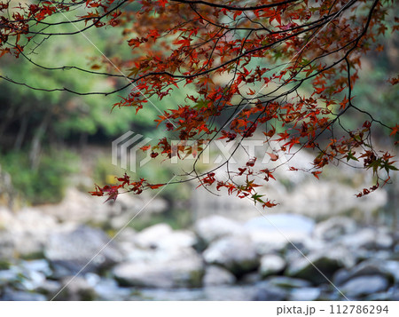 萩市・長門峡の風景 112786294