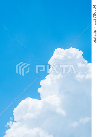 夏の青空 112786334