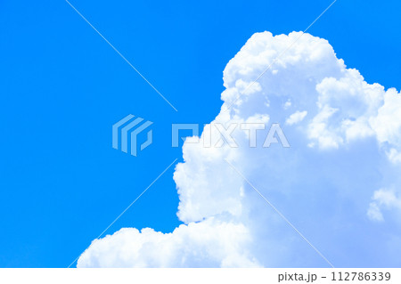 夏の青空 112786339