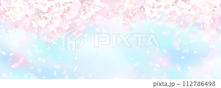 春の青空に満開の桜 春の青空に満開の桜 112786498