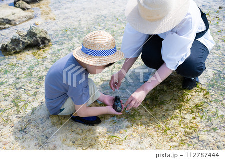 なまこ見つけた 112787444