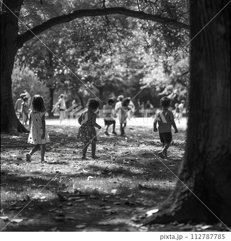 夏の公園で遊ぶ子どもたち 夏の公園で遊ぶ子どもたち 112787785