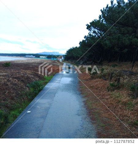 海へ続く道 海へ続く道 112787852