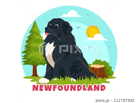 Newfoundland Dog Animals Vector Illustration with Black, Brown or Landseer Color in Flat Style Cute Cartoon Nature Background Design 112787892