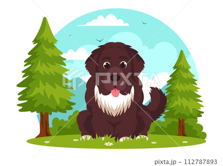 Newfoundland Dog Animals Vector Illustration with Black, Brown or Landseer Color in Flat Style Cute Cartoon Nature Background Design 112787893