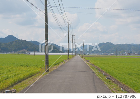 平野の一本道 平野の一本道 112787986